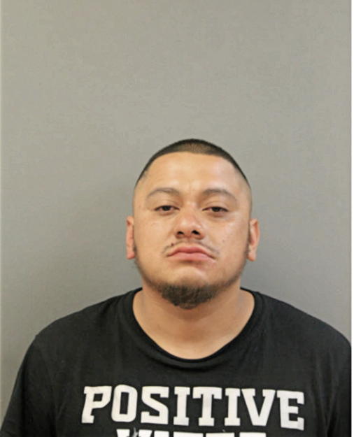 CELESTINO BANUELOS, Cook County, Illinois