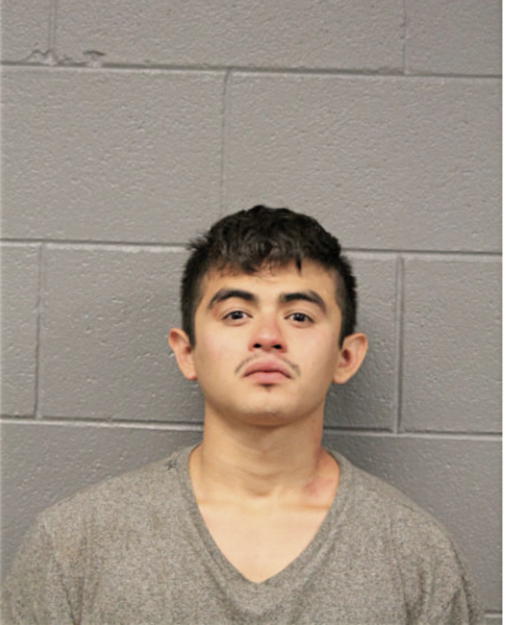 JOSHUA I BOTELLO, Cook County, Illinois