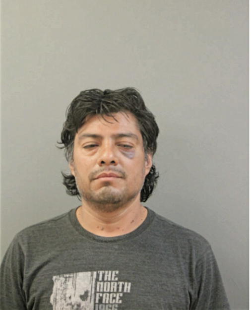 RIBOLINO BOYAS, Cook County, Illinois