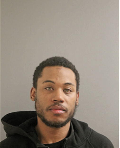 CHRISTOPHER L BROWN, Cook County, Illinois