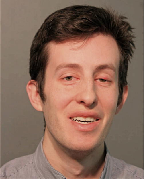 ANDREW T CALLEWAERT, Cook County, Illinois