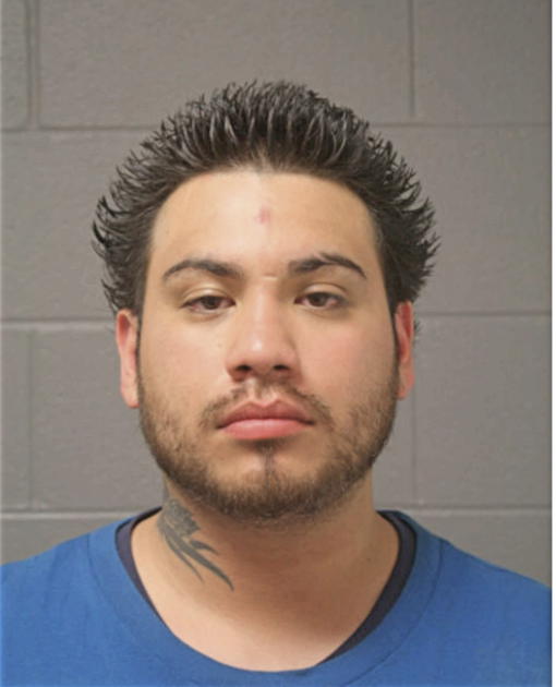 BRIAN CANCHOLA, Cook County, Illinois