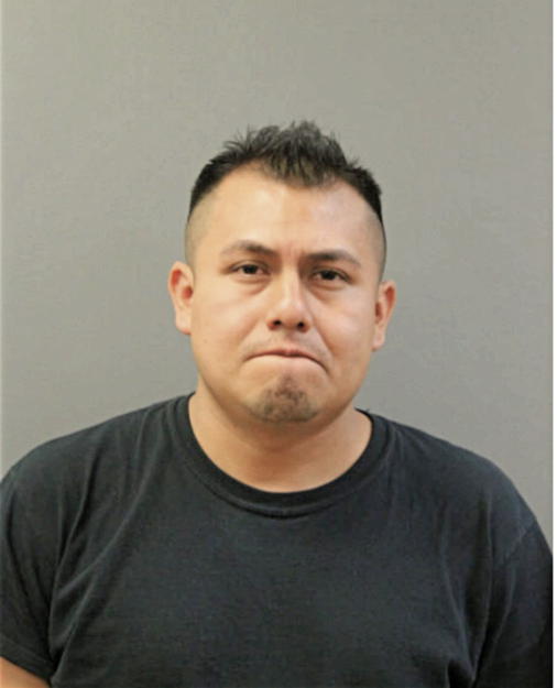 DAVID COSME-CRUZ, Cook County, Illinois