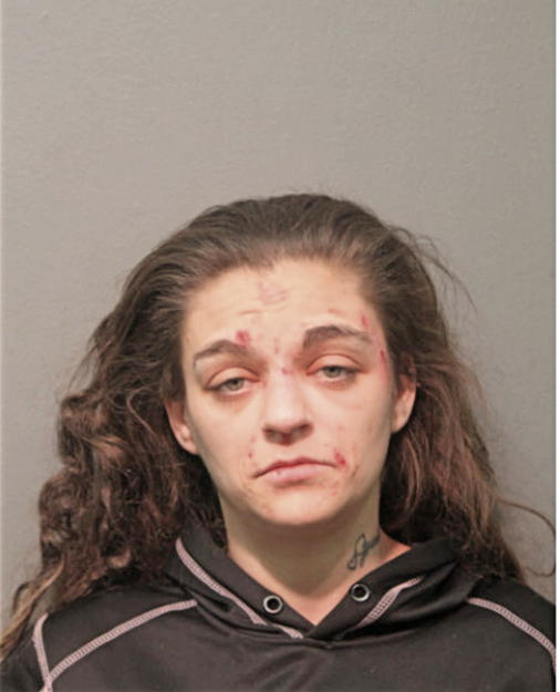 DESIRAE D DEAN, Cook County, Illinois