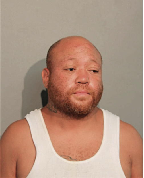 BRIAN D DYSON, Cook County, Illinois