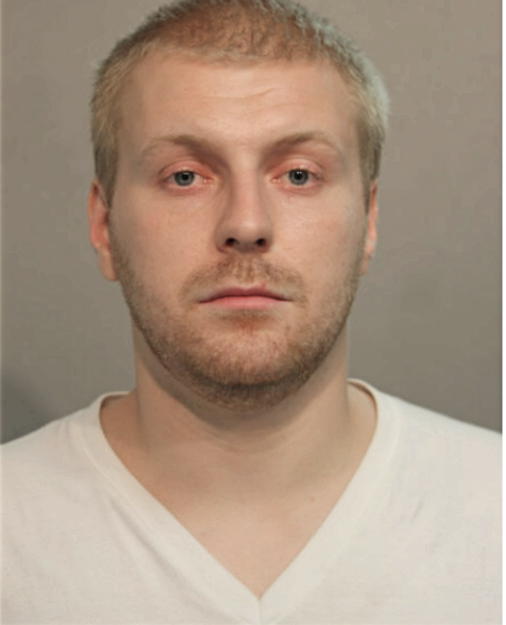 KAROL J FERDYN, Cook County, Illinois