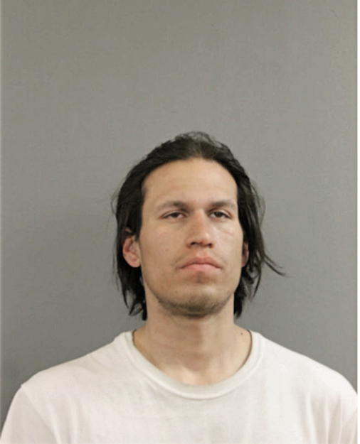 DAVID J GURNEAU, Cook County, Illinois
