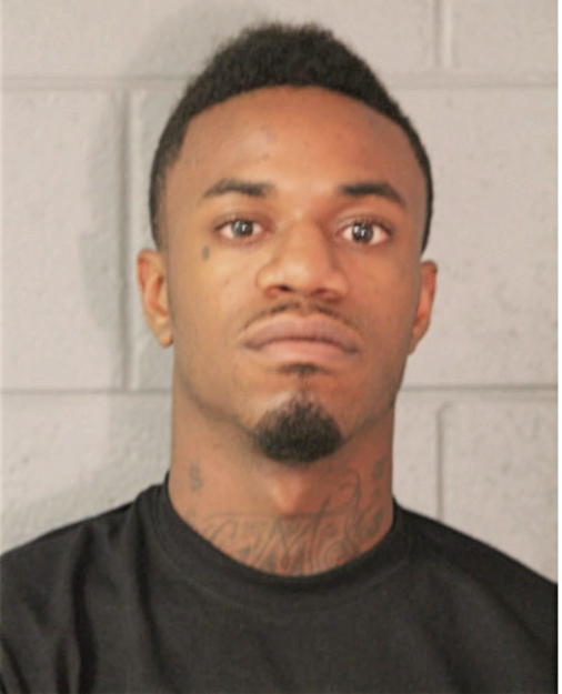 RICKY G HARRIS, Cook County, Illinois