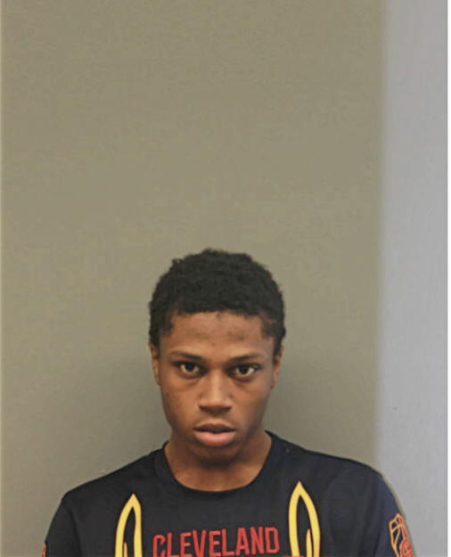 ARMONIE HEATH, Cook County, Illinois
