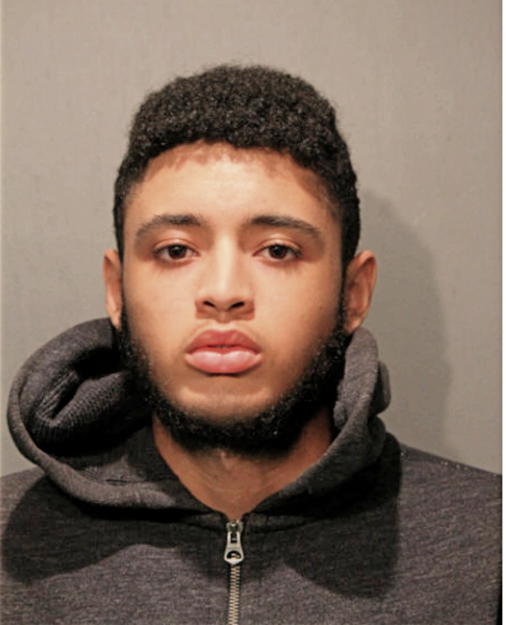 BRANDON J HOWARD, Cook County, Illinois