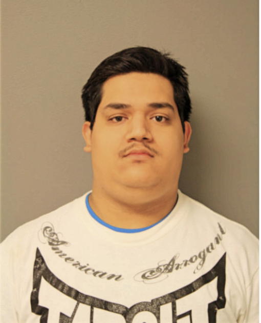 ROMAN LOMELI, Cook County, Illinois