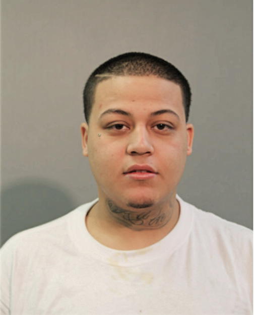 DAVID A MARTINEZ, Cook County, Illinois