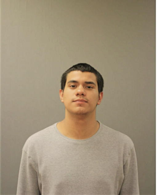 MICHAEL MARTINEZ, Cook County, Illinois