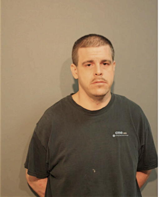 FRANCESCO P MCPHEE, Cook County, Illinois