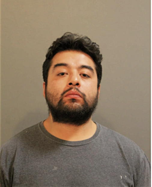 JOHAN MENDEZ, Cook County, Illinois