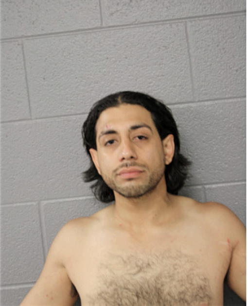 VICTOR H MIRELES ANDRADE, Cook County, Illinois