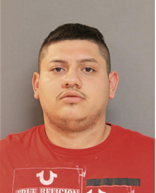 ALFREDO MONTOYA, Cook County, Illinois