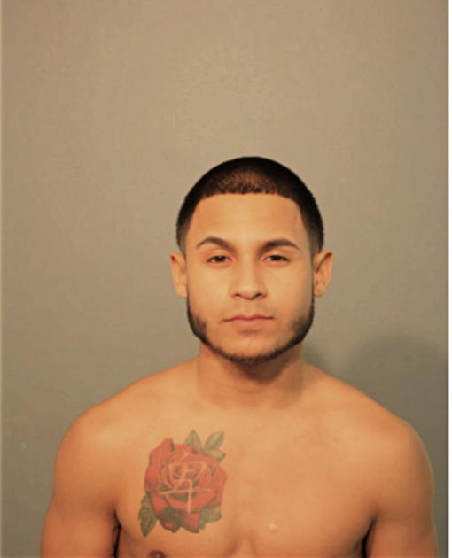JOHN R NEGRON, Cook County, Illinois
