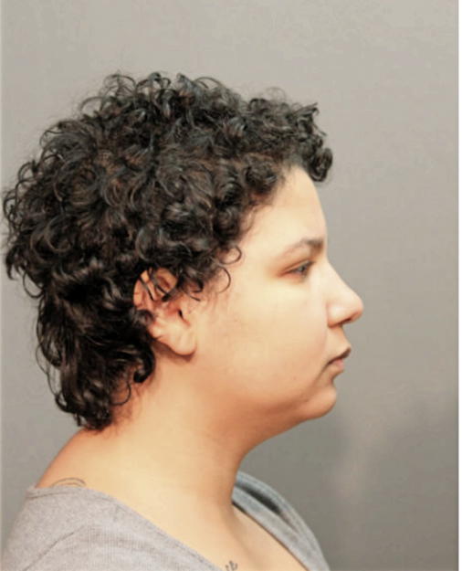 LAURA M RIVAS NUNEZ, Cook County, Illinois