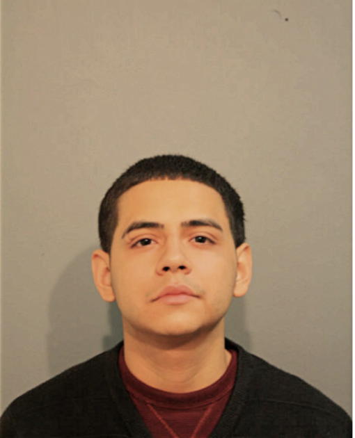 DAVID C VARGAS, Cook County, Illinois