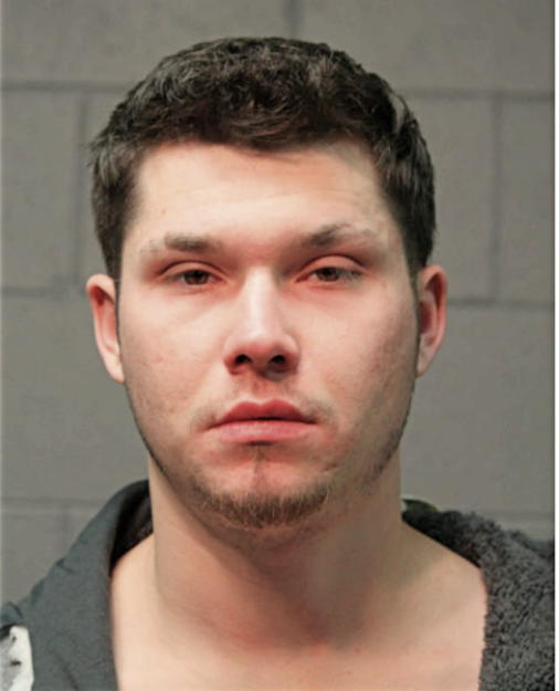 MICHAEL A ALDACO, Cook County, Illinois