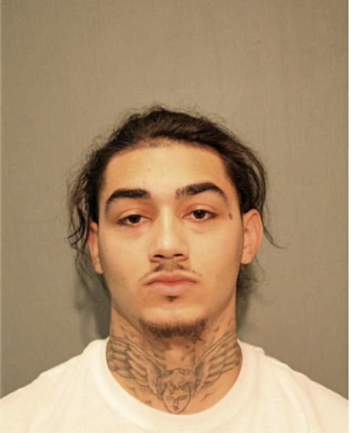 LAMONT F ANDREWS, Cook County, Illinois