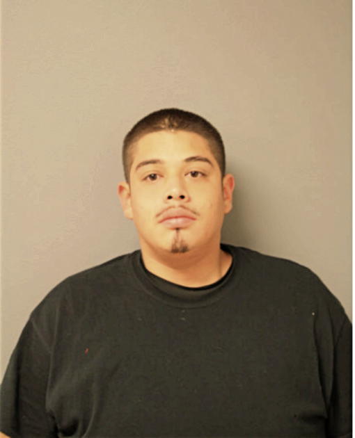 BLAS ARZOLA, Cook County, Illinois