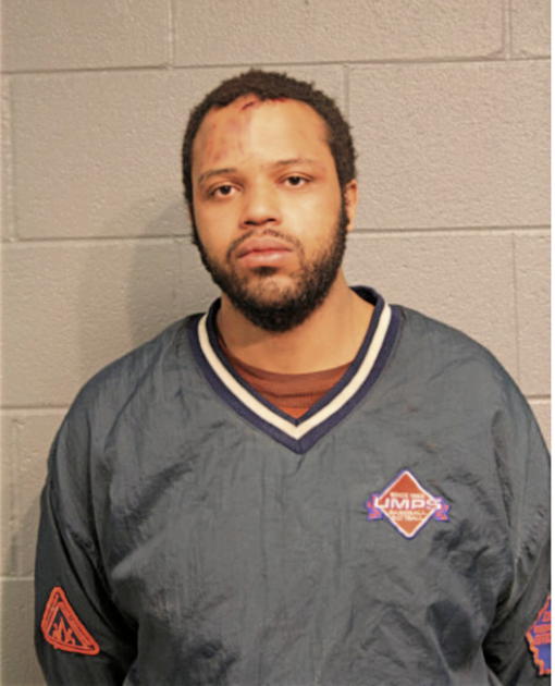 TORIS P BRADDOCK, Cook County, Illinois