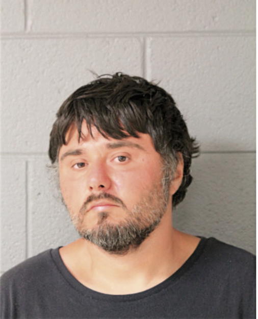DANIEL CARREON, Cook County, Illinois