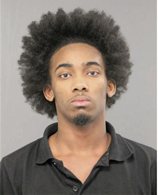CHRISTOPHER C CRITTENDON, Cook County, Illinois