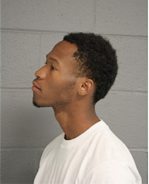 BRIAN A DAVIS, Cook County, Illinois