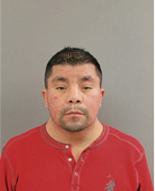 JOSE FLORES, Cook County, Illinois