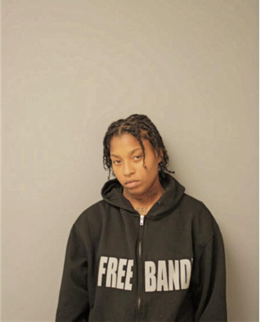 DANYELL A FREEMAN, Cook County, Illinois