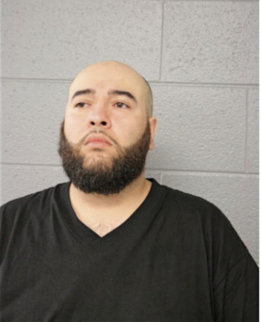 LOUIS GONZALEZ, Cook County, Illinois
