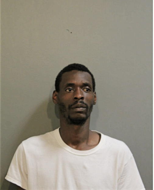 VICTOR T HAMILTON, Cook County, Illinois