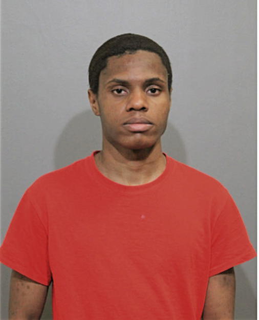 THEOEHPHLIUSE D HAYES, Cook County, Illinois