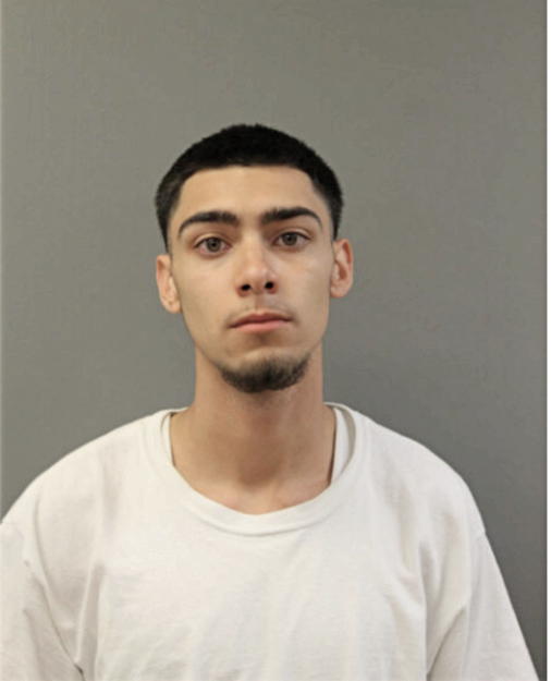 NATHAN D HERNANDEZ, Cook County, Illinois