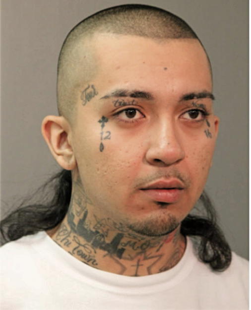 JOSE L LUCIO, Cook County, Illinois