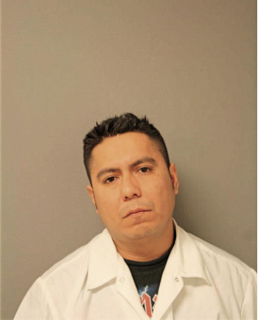 DIEGO RICARDO LUNA LUNA, Cook County, Illinois