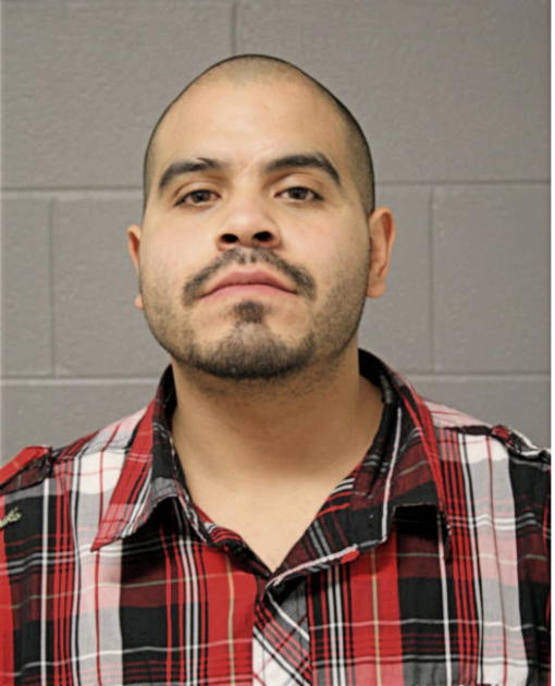 JESUS F MENDOZA, Cook County, Illinois