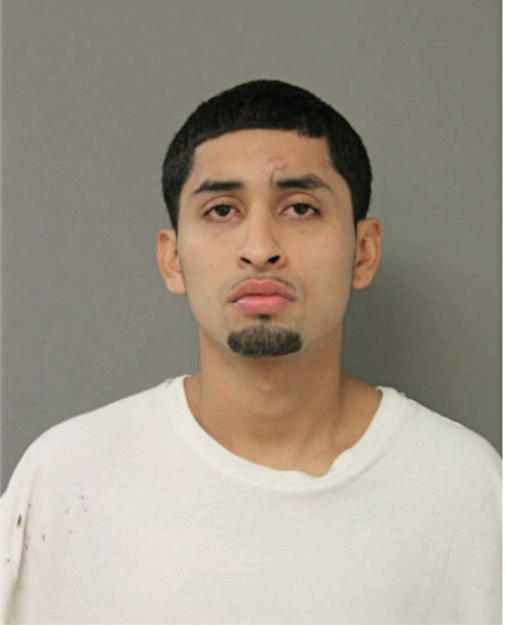 RICARDO MONTES, Cook County, Illinois