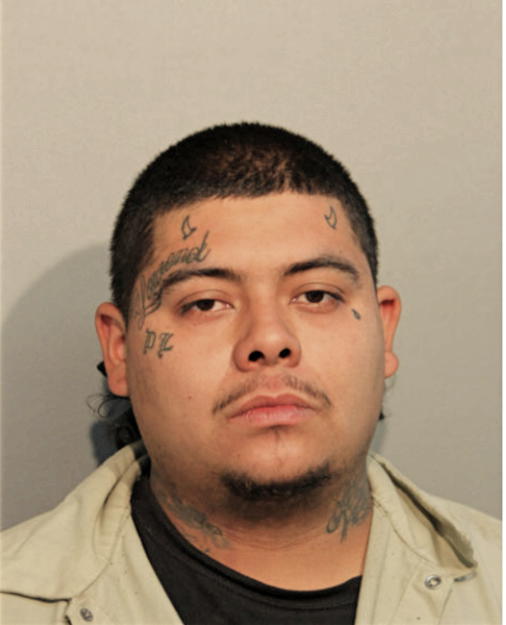 ALEJANDRO MONTOYA, Cook County, Illinois