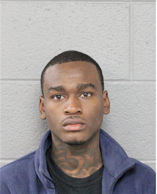 DESHAWN A NELSON, Cook County, Illinois