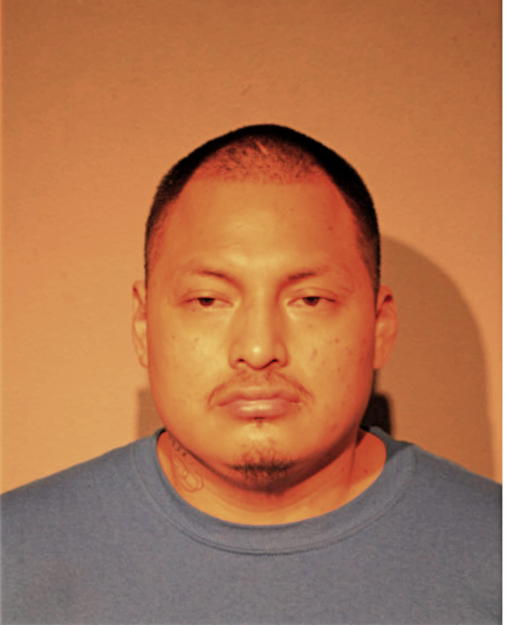 CARLOS A PALMER, Cook County, Illinois