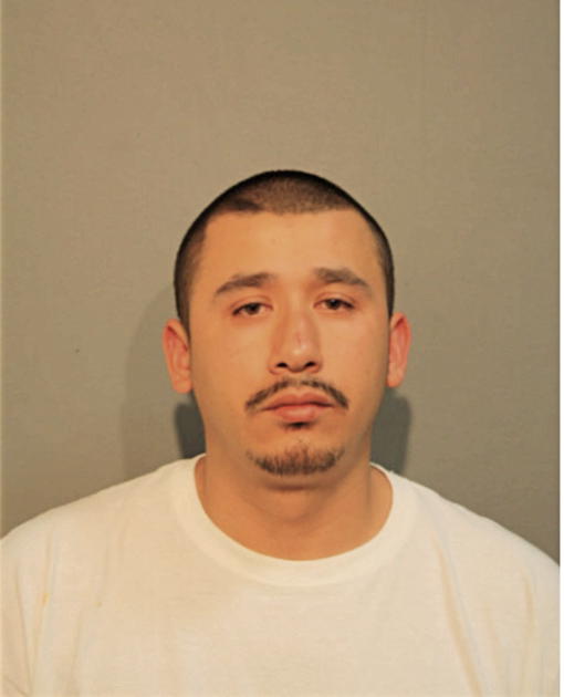MIGUEL A RAMIREZ, Cook County, Illinois