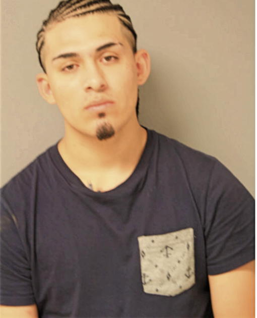 JUAN A RAMOS, Cook County, Illinois