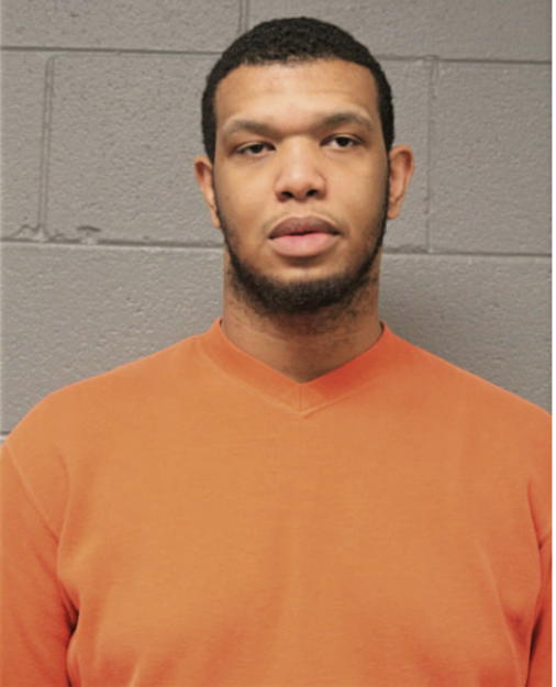 JOEL REED, Cook County, Illinois