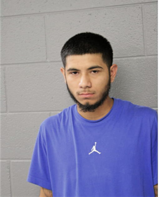 FREDERICO ROQUE, Cook County, Illinois