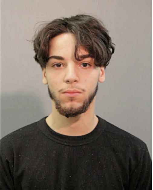 JUSTIN SERENCES, Cook County, Illinois