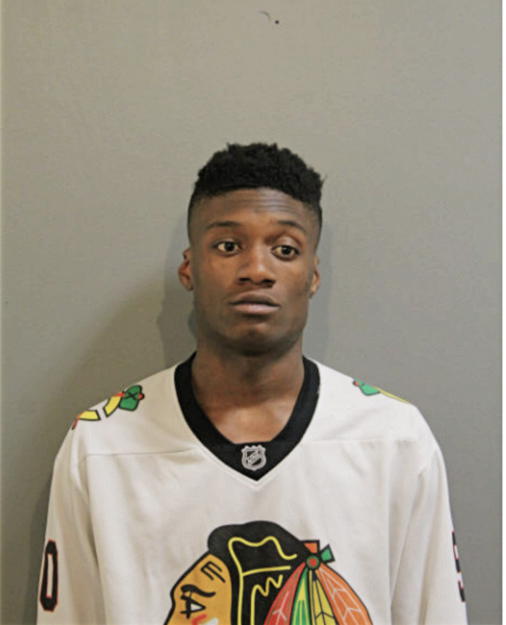 WAYNE C SMITH, Cook County, Illinois